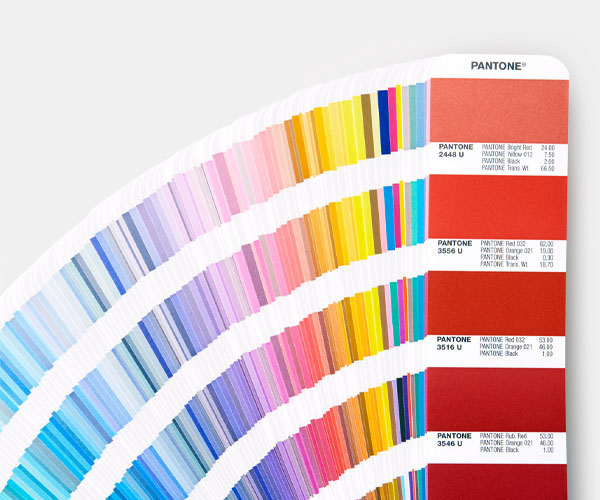 Design and Color Customization